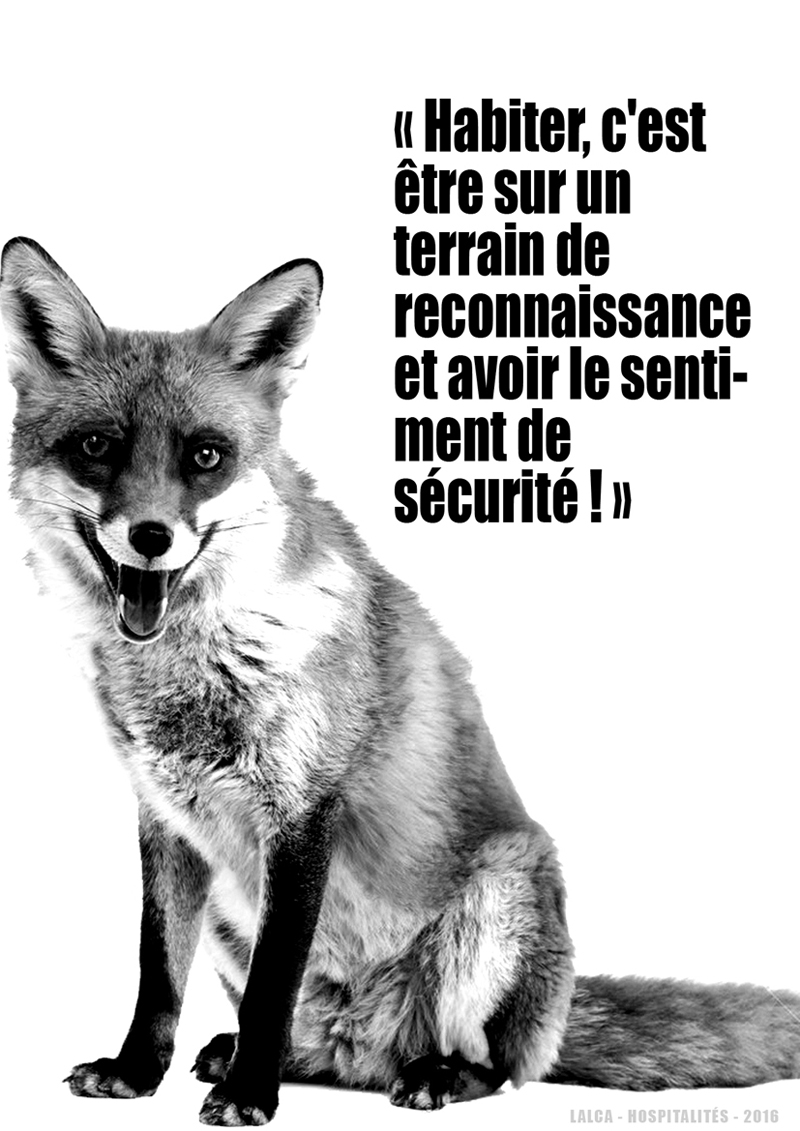 habiter renard